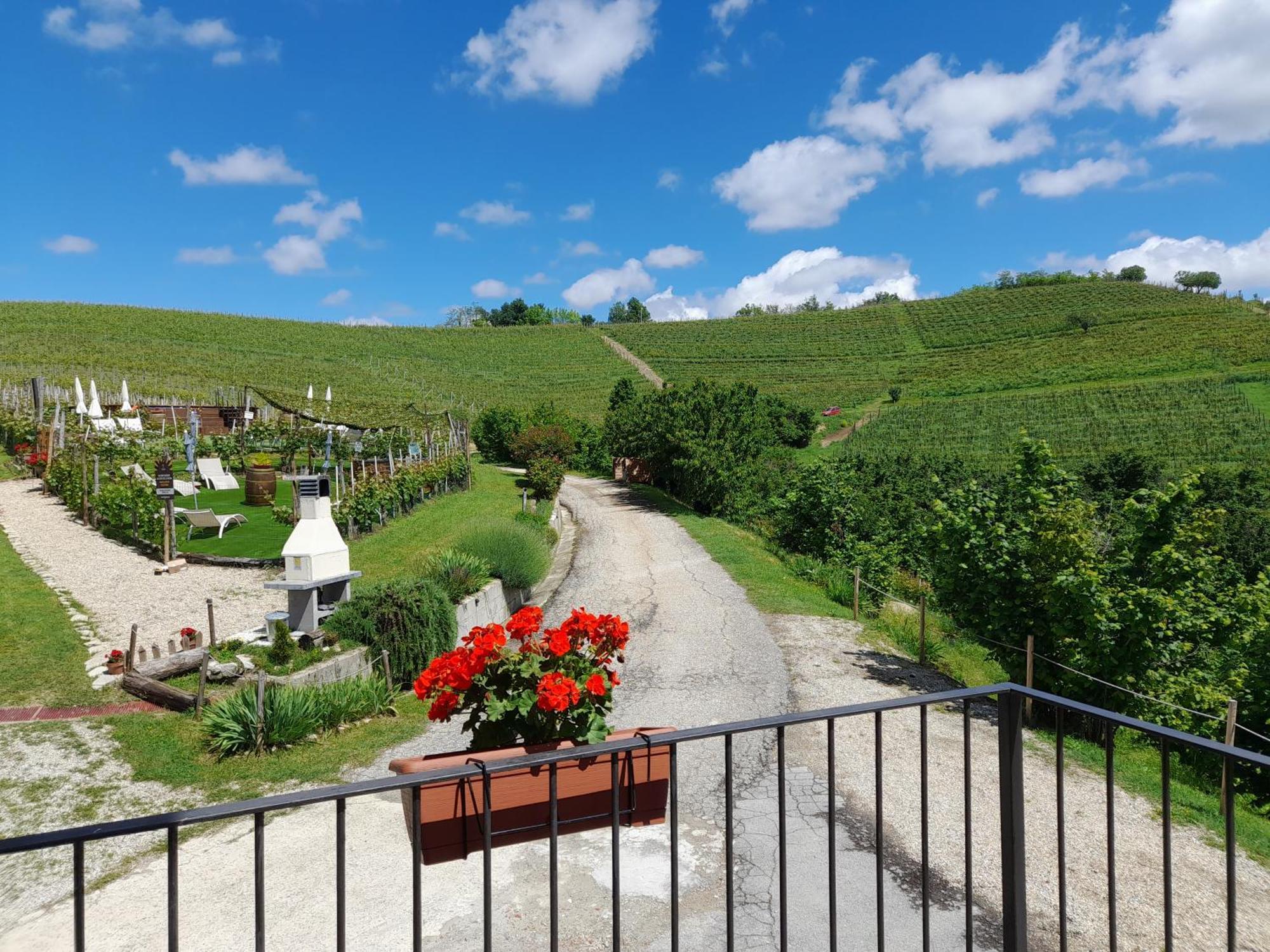 Madama Langa Country House Con Piscina Nelle Vigne Montelupo Albese Exterior photo